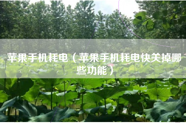 苹果手机耗电（苹果手机耗电快关掉哪些功能）