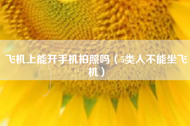 飞机上能开手机拍照吗（5类人不能坐飞机）