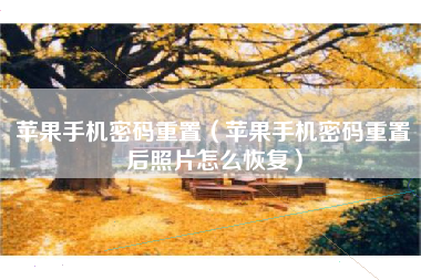 苹果手机密码重置（苹果手机密码重置后照片怎么恢复）