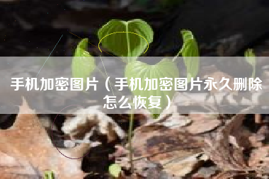 手机加密图片（手机加密图片永久删除怎么恢复）