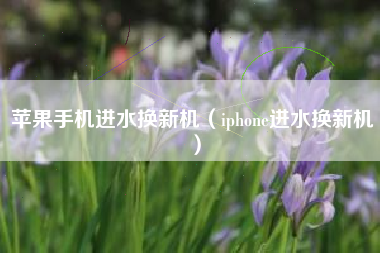 苹果手机进水换新机（iphone进水换新机）
