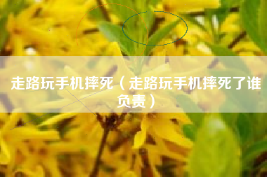 走路玩手机摔死（走路玩手机摔死了谁负责）