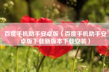 百度手机助手安卓版（百度手机助手安卓版下载新版本下载安装）