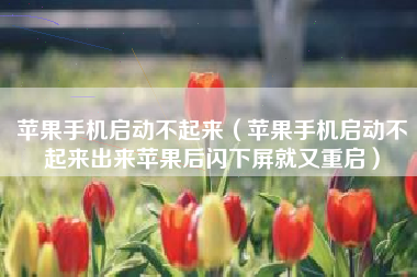 苹果手机启动不起来（苹果手机启动不起来出来苹果后闪下屏就又重启）