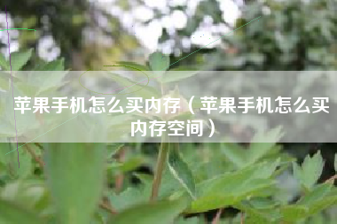 苹果手机怎么买内存（苹果手机怎么买内存空间）