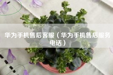 华为手机售后客服（华为手机售后服务电话）