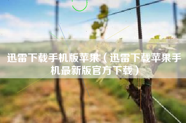迅雷下载手机版苹果（迅雷下载苹果手机最新版官方下载）