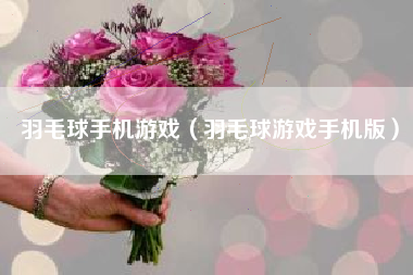 羽毛球手机游戏（羽毛球游戏手机版）
