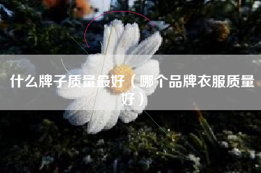 什么牌子质量最好（哪个品牌衣服质量好）