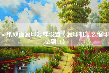 a3纸双面复印怎样设置（复印机怎么缩印a3到a4）