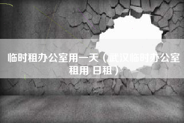 临时租办公室用一天（武汉临时办公室租用 日租）