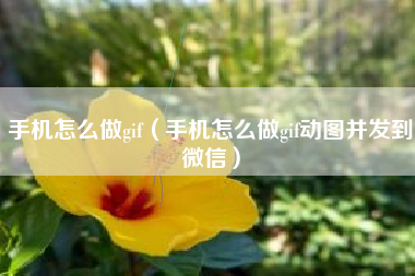 手机怎么做gif（手机怎么做gif动图并发到微信）