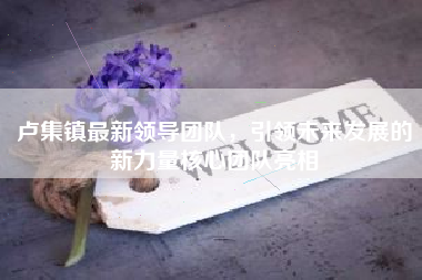 卢集镇最新领导团队，引领未来发展的新力量核心团队亮相