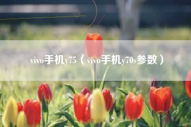 vivo手机y75（vivo手机y70s参数）