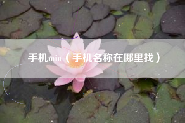 手机min（手机名称在哪里找）