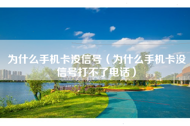 为什么手机卡没信号（为什么手机卡没信号打不了电话）