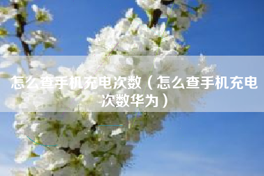 怎么查手机充电次数（怎么查手机充电次数华为）