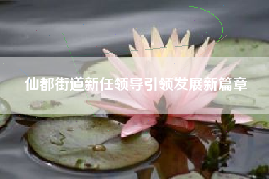 仙都街道新任领导引领发展新篇章
