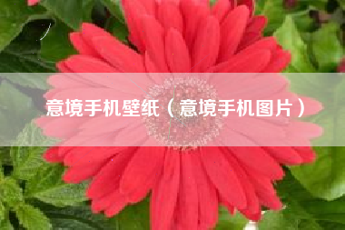 意境手机壁纸（意境手机图片）