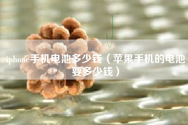 iphone手机电池多少钱（苹果手机的电池要多少钱）
