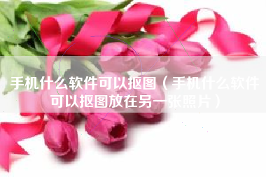 手机什么软件可以抠图（手机什么软件可以抠图放在另一张照片）