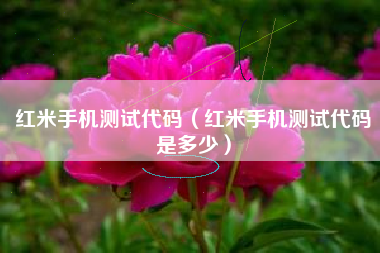 红米手机测试代码（红米手机测试代码是多少）
