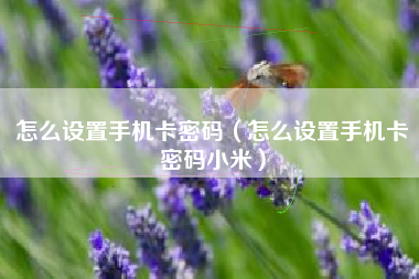 怎么设置手机卡密码（怎么设置手机卡密码小米）