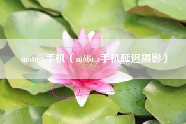 moto z手机（moto z手机延迟摄影）