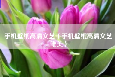 手机壁纸高清文艺（手机壁纸高清文艺唯美）