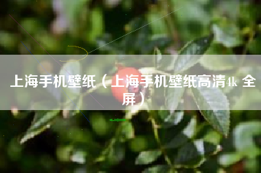 上海手机壁纸（上海手机壁纸高清4k 全屏）