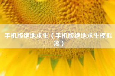 手机版绝地求生（手机版绝地求生模拟器）