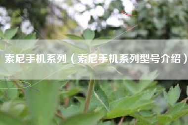 索尼手机系列（索尼手机系列型号介绍）