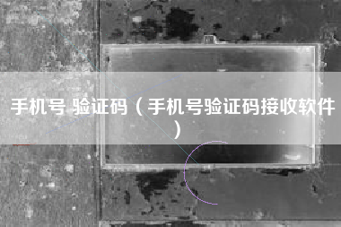手机号 验证码（手机号验证码接收软件）