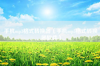 手机mp3格式转换器（手机mp3格式转换器软件）