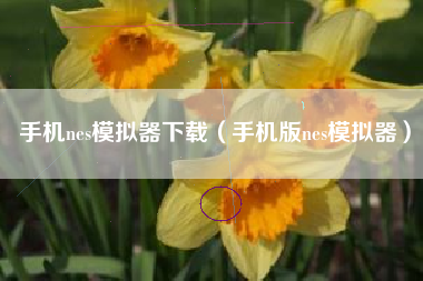 手机nes模拟器下载（手机版nes模拟器）