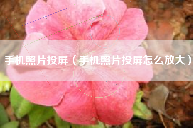 手机照片投屏（手机照片投屏怎么放大）