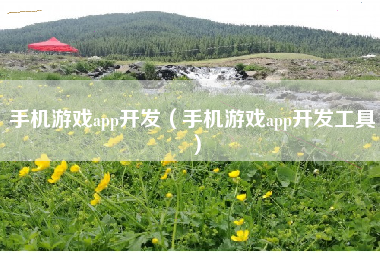 手机游戏app开发（手机游戏app开发工具）