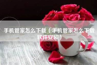 手机管家怎么下载（手机管家怎么下载软件安装）