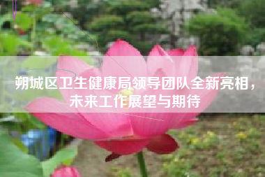 朔城区卫生健康局领导团队全新亮相，未来工作展望与期待