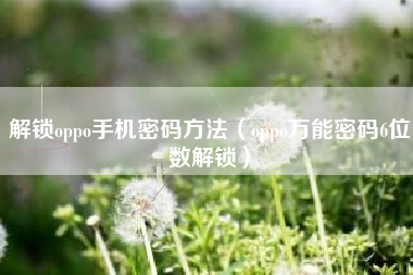 解锁oppo手机密码方法（oppo万能密码6位数解锁）