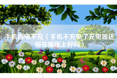 手机插电不充（手机不充电了充电器还插在插座上好吗）