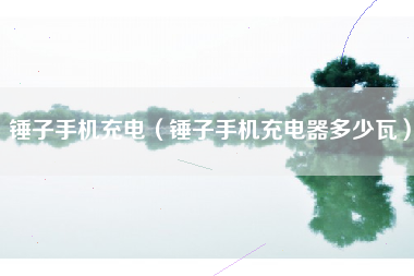 锤子手机充电（锤子手机充电器多少瓦）