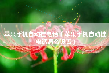 苹果手机自动挂电话（苹果手机自动挂电话怎么设置）