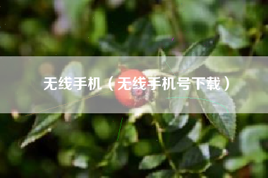 无线手机（无线手机号下载）