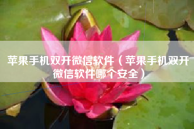苹果手机双开微信软件（苹果手机双开微信软件哪个安全）