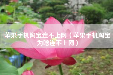 苹果手机淘宝连不上网（苹果手机淘宝为啥连不上网）