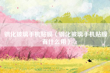 钢化玻璃手机贴膜（钢化玻璃手机贴膜有什么用）