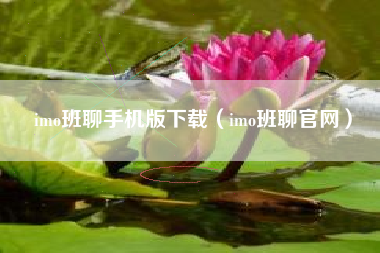imo班聊手机版下载（imo班聊官网）