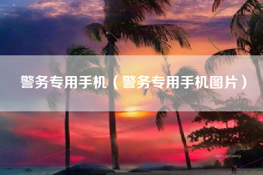 警务专用手机（警务专用手机图片）