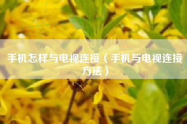 手机怎样与电视连接（手机与电视连接方法）